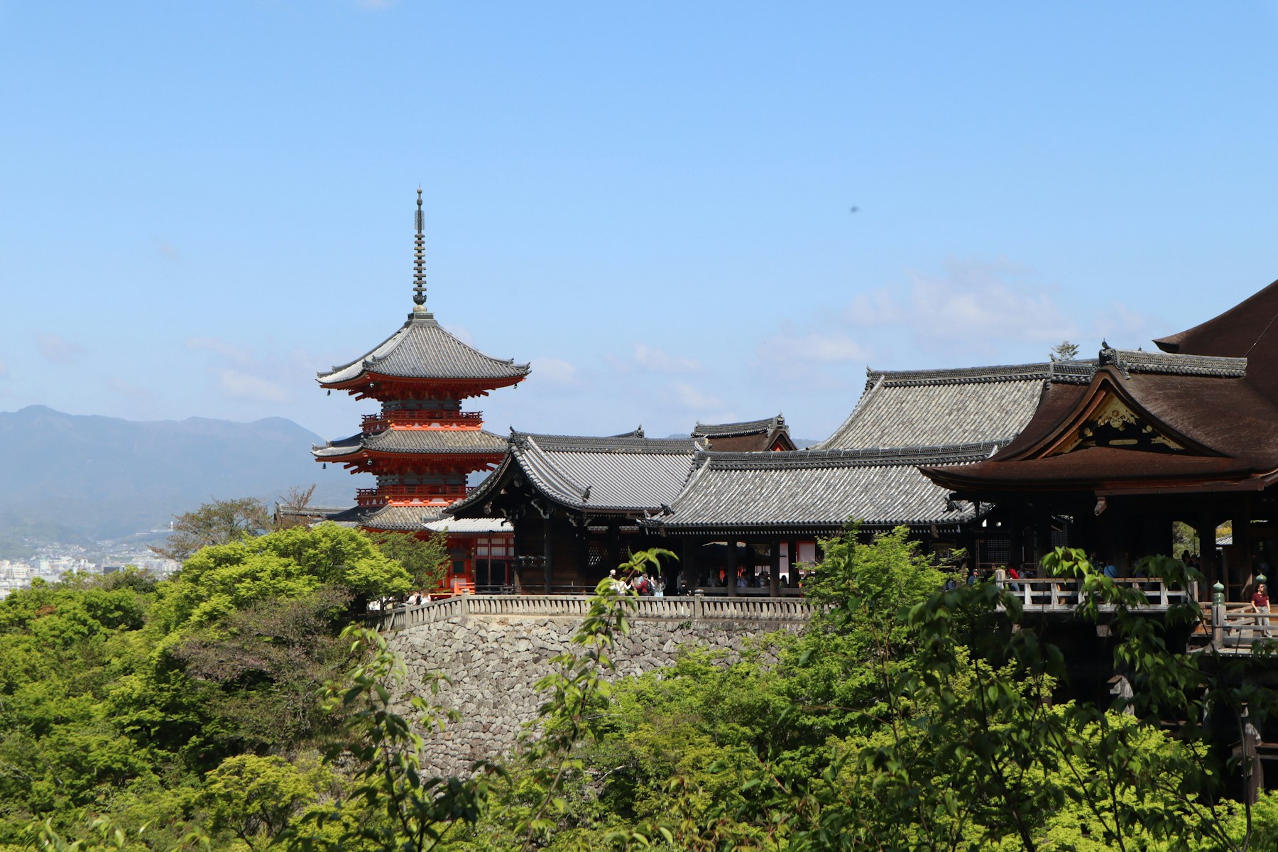 Templo de Kiyomizu-dera entre la vegetación de Kioto